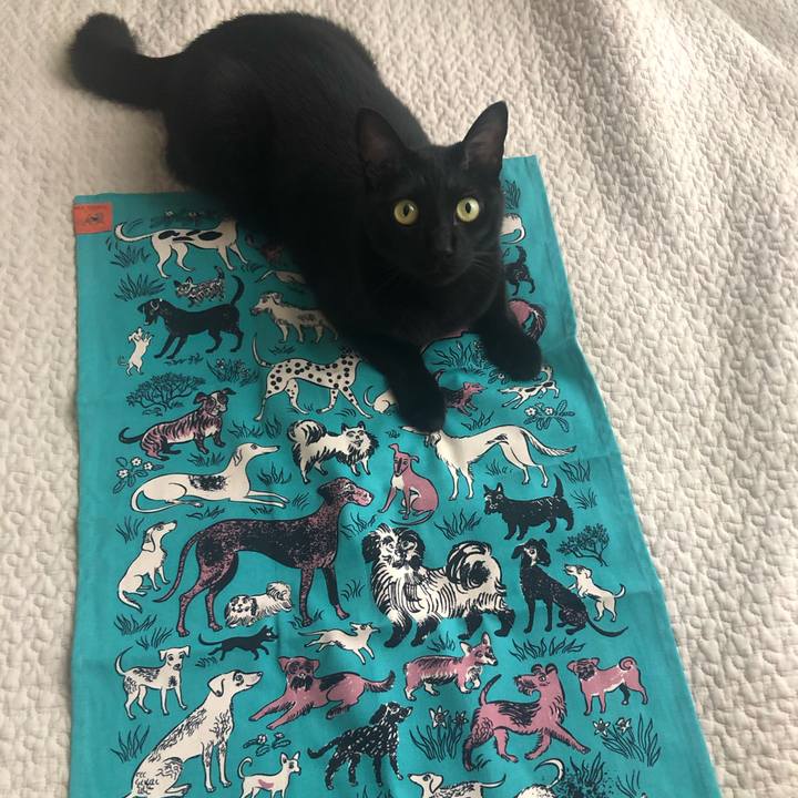 Cae4dd62 77c3 42e4 81de 679348c0bb25 1659841565005