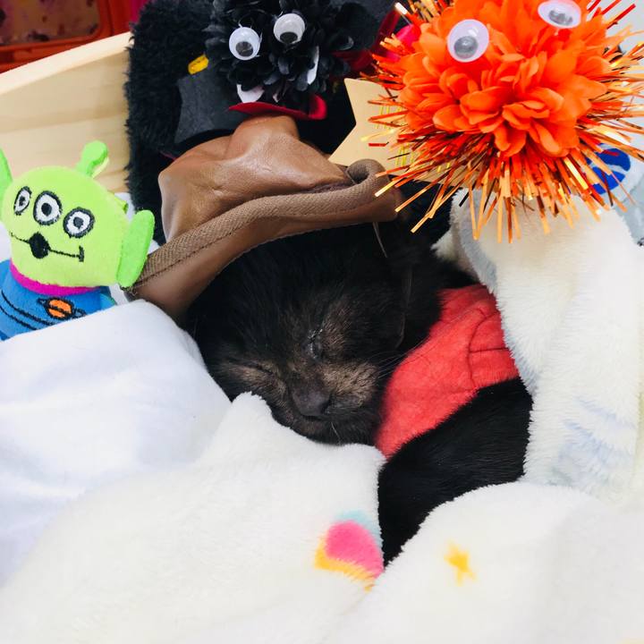 Cae4fdf6 05d2 4c2b baa5 f0877614a74c 1509947322882