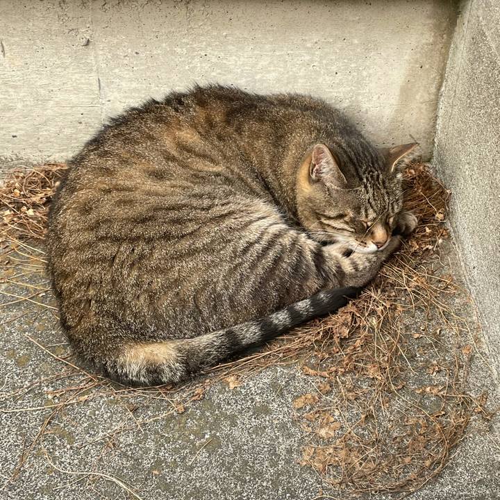 Cae50c80 a344 436b 8834 6c9f4ed5367c 1624620125911