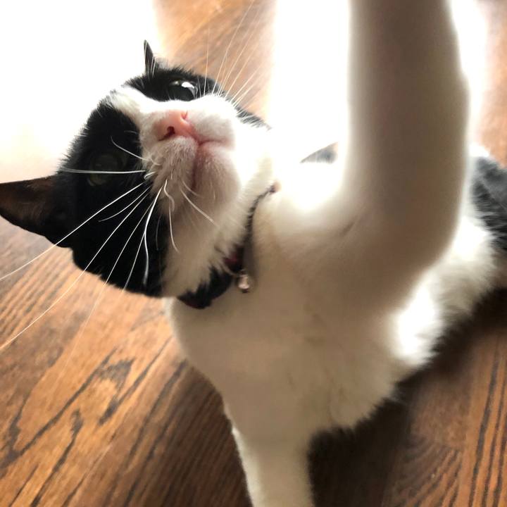 Cae57c23 e4b5 448a a5ad a0951e8e0236 1598446285910