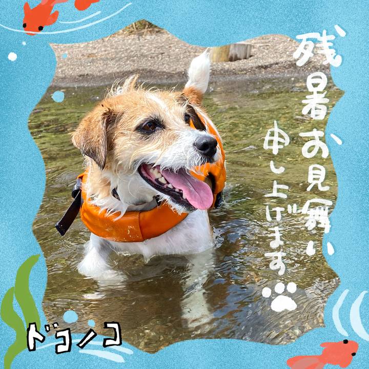 Cae59133 8bfc 423d 98f2 8fe9ec4edd66 1723528172054