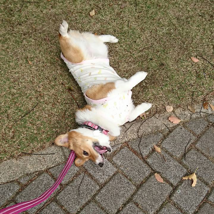 Cae5972d 82aa 4b1f b7c6 1702628b7b17 1556517939008