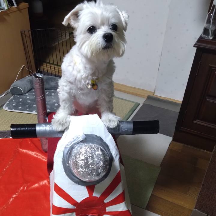 Cae59dcb 6fda 4059 b6a9 a60f51929eac 1705499764331