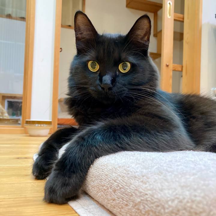 Cae59ec5 d2f7 47b5 a82f c39d34ec36e2 1729767959659