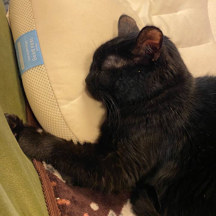 Cae5b4be 1f4c 430c b1e2 a472b5aaea57 1674116487477