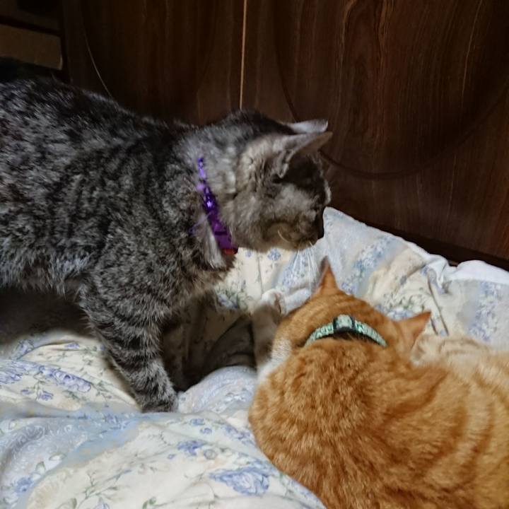 Cae5b4c0 bd03 4899 b808 6dbd487b3754 1583756335584