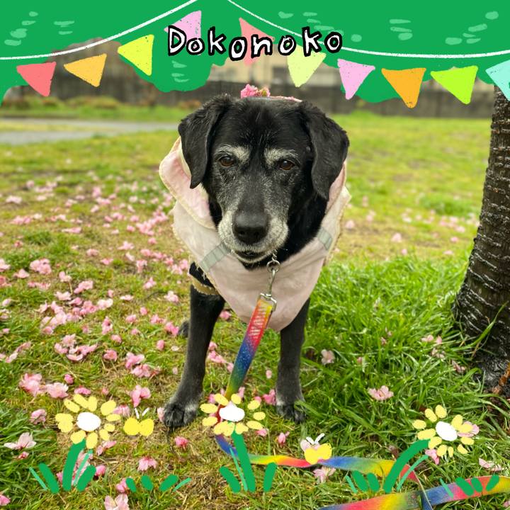 Cae5e843 7ce5 4ebb 80e7 c0a9aa3490d0 1711549957718