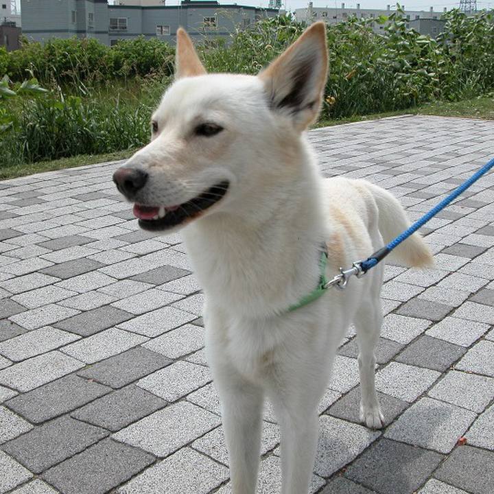 Cae6077b 69c8 4a7b 989d 2846cf3544fb 1559115286287