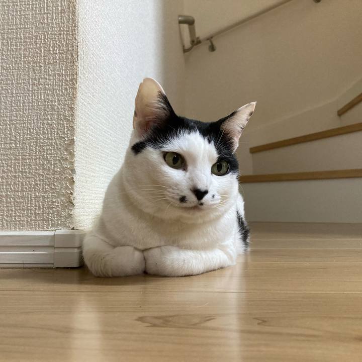 Cae62f88 9eb1 493a a1d6 d3b3e490f69f 1770679559082