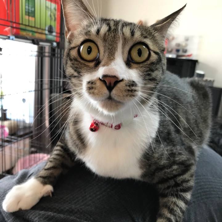 Cae64d0d cc94 4cca a42f ae1709077e2a 1518912642607