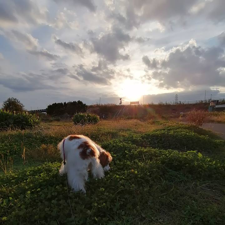 Cae656ae 25b9 4514 9ac2 0a740b86809f 1606726118675