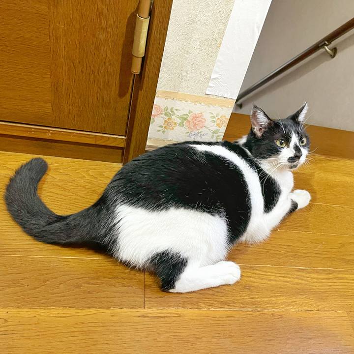 Cae66410 7592 46cc bb21 8fd5daedf05c 1759186262707