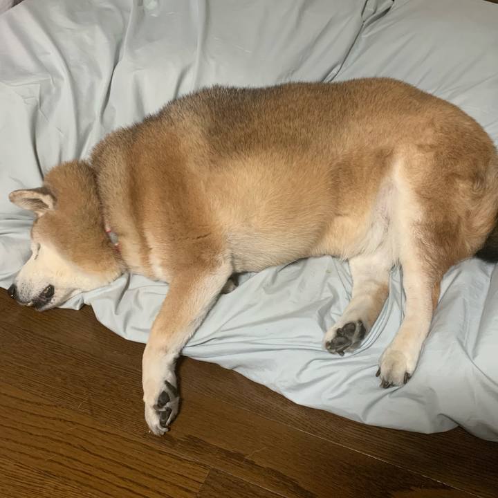 Cae689f1 0dad 462a 9b11 ab704bc169e5 1641138269794