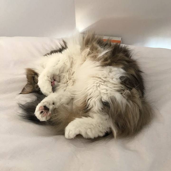 Cae6abc1 0745 408c 908c c84d577b5939 1586150114686