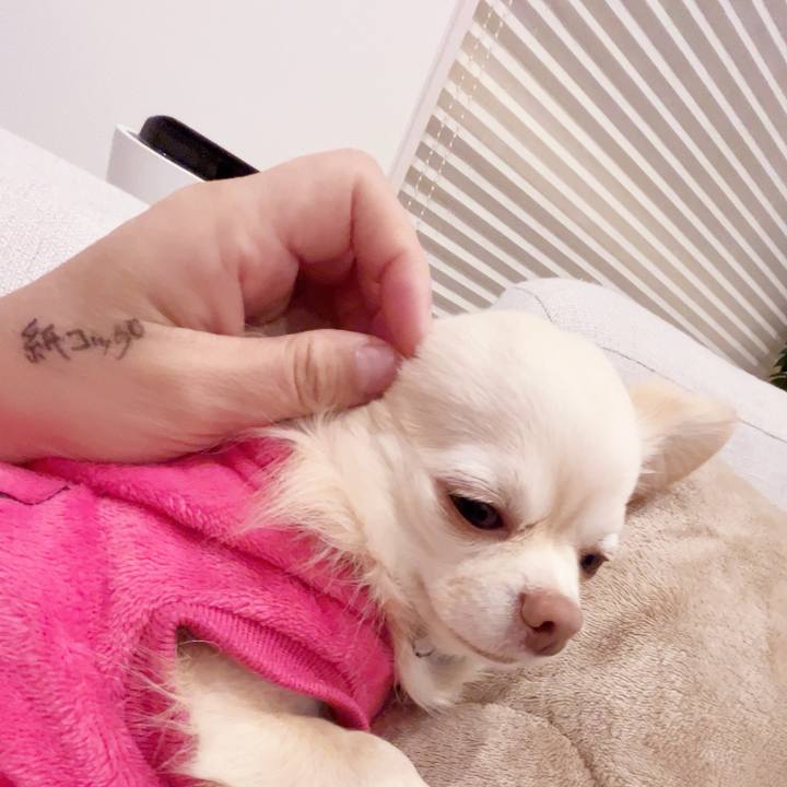 Cae6b03d 9c5f 4723 afa1 a2806de7270a 1739358933214