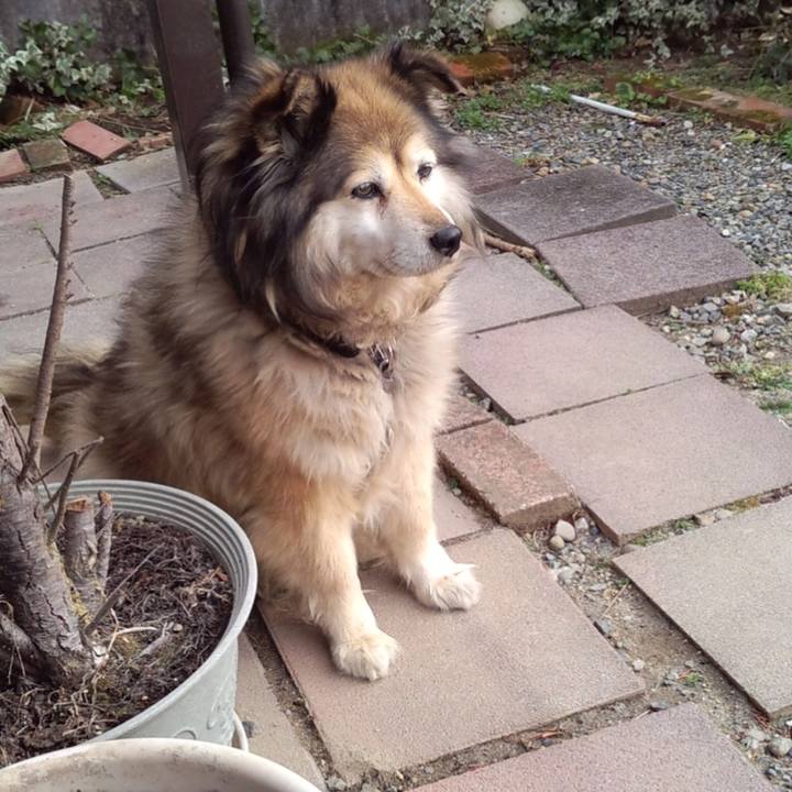 Cae6f509 b527 4ebc b288 2a4ee0843447 1558375504884