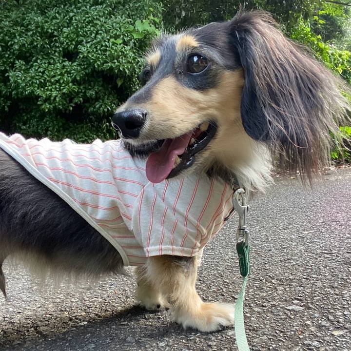 Cae71bf6 8c3f 4af2 988f 48632cb76cfe 1751776536653