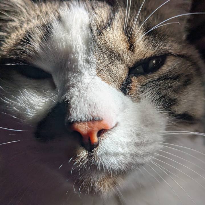 Cae729e2 2587 4ab0 ba58 7f5286dcf048 1772861342045