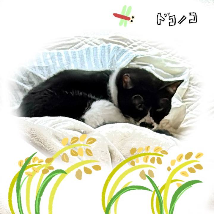 Cae72bb3 0e56 49ac 9e06 fef9a5789421 1761174680790