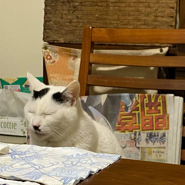 Cae73a71 8e2f 4b47 824d 7e48dc901599 1642259058035