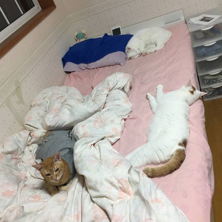 Cae75477 4e4f 409b b8eb 3b81760df039 1528548386520