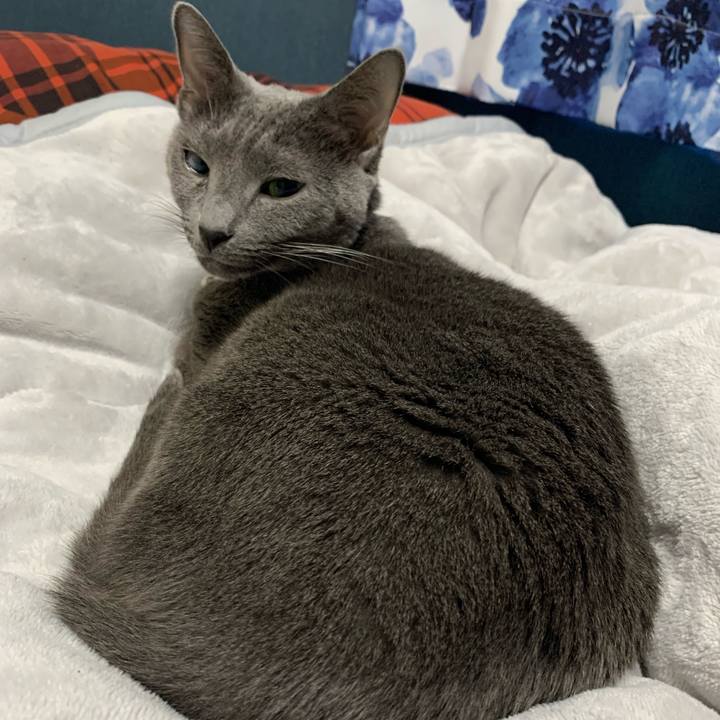 Cae771c1 7490 4726 a8d8 96ede4787cd8 1668314781750