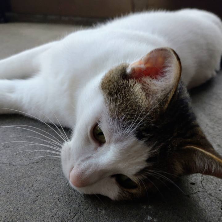 Cae7e2df bc8e 499a 80e5 1a9781c1a213 1690434781842