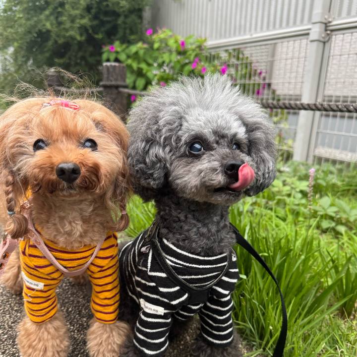 Cae8050d 3bc6 4e7b a96b 897e9b4e2828 1761002433112