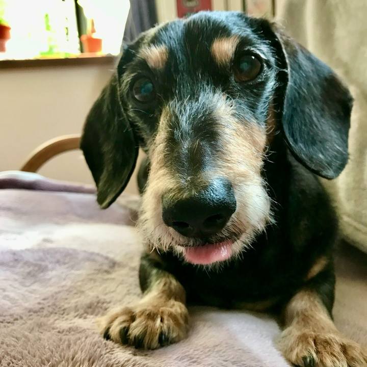 Cae81d74 755f 4cd1 b1f2 02b58e3e9575 1758613942371