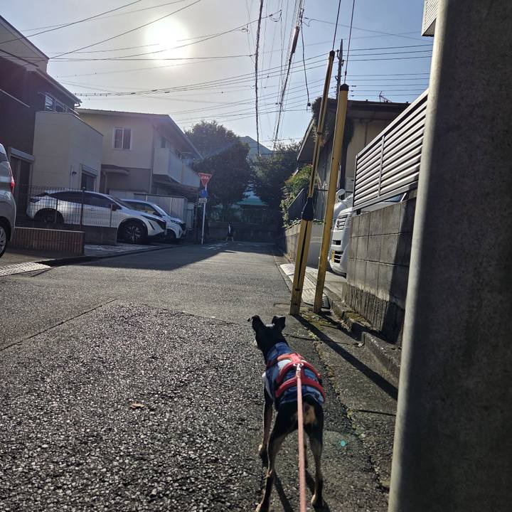 Cae82c44 7998 4243 bbbc 495183ef2d97 1759877665963