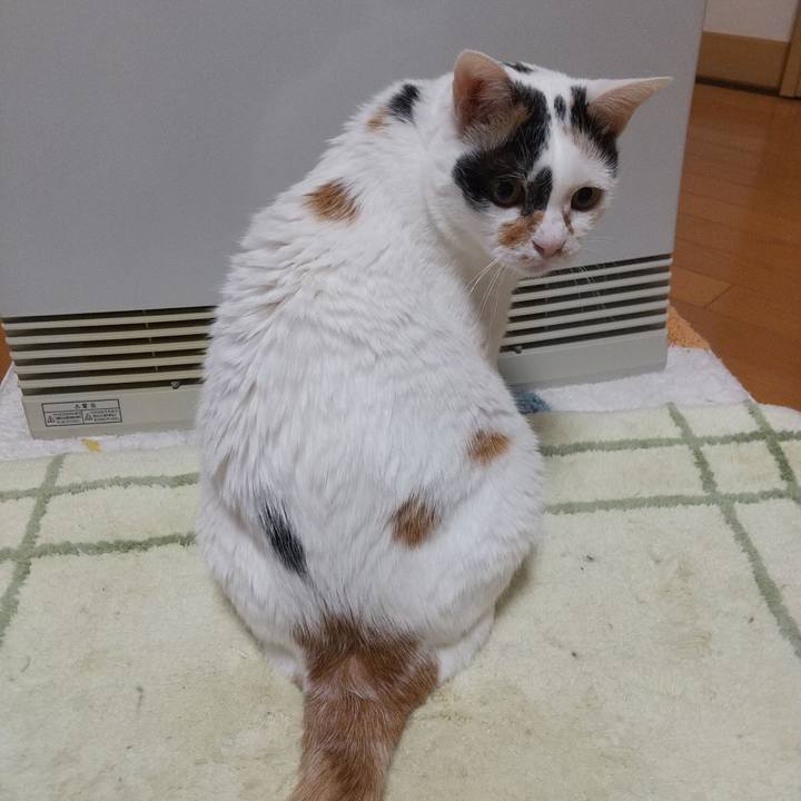 Cae82fc0 fecb 47cb 889f a00adb4b7bd4 1672995428080