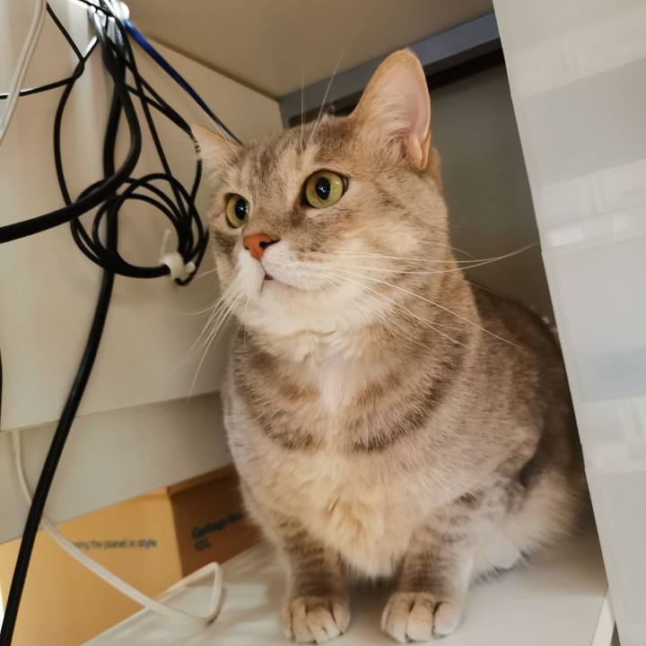 Cae83047 af21 4d7d a080 2699d32186bf 1655782785525