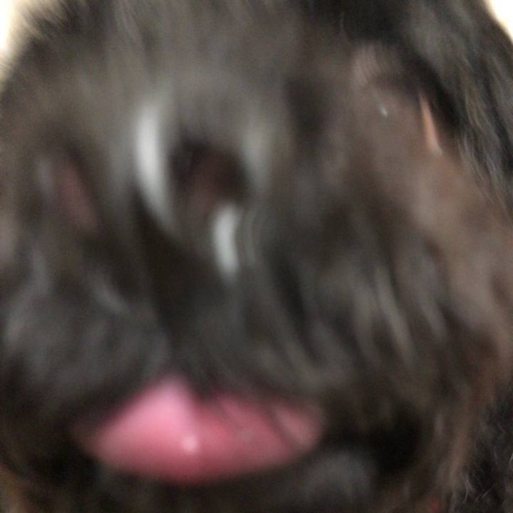 Cae84455 a34d 49c7 bebb ffd60b041087 1535926422313