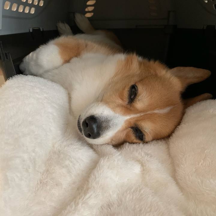 Cae84f1f 3afd 45cb 84c4 132c2b096e7b 1666575698250