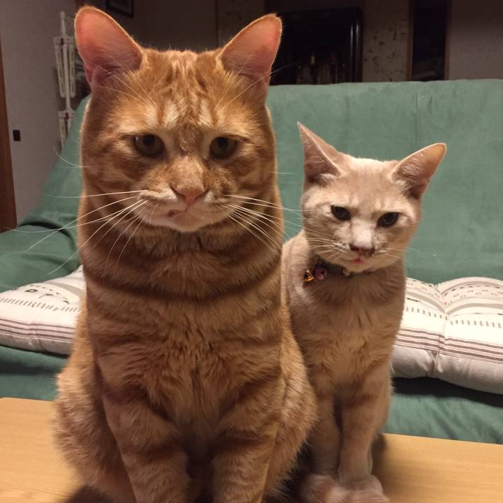 Cae8a151 9e93 41db af4f 5f91b29b4beb 1539427988694