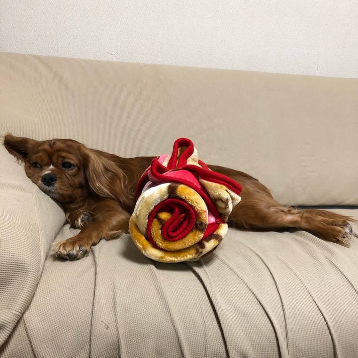 Cae8e5b5 f634 46ad 9598 68d62439dcbd 1574201978003