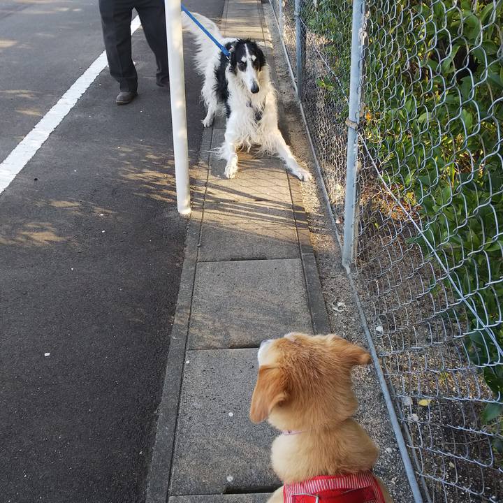 Cae940d9 fa68 416e bc5b ea420358e9c7 1522190195557