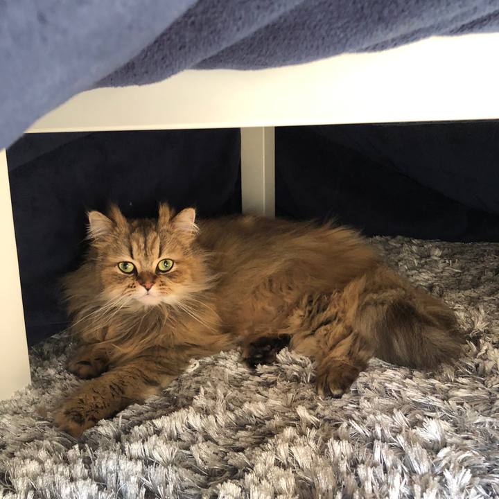 Caea1082 7e9c 45c5 924c 5600bdd17c26 1552605154981