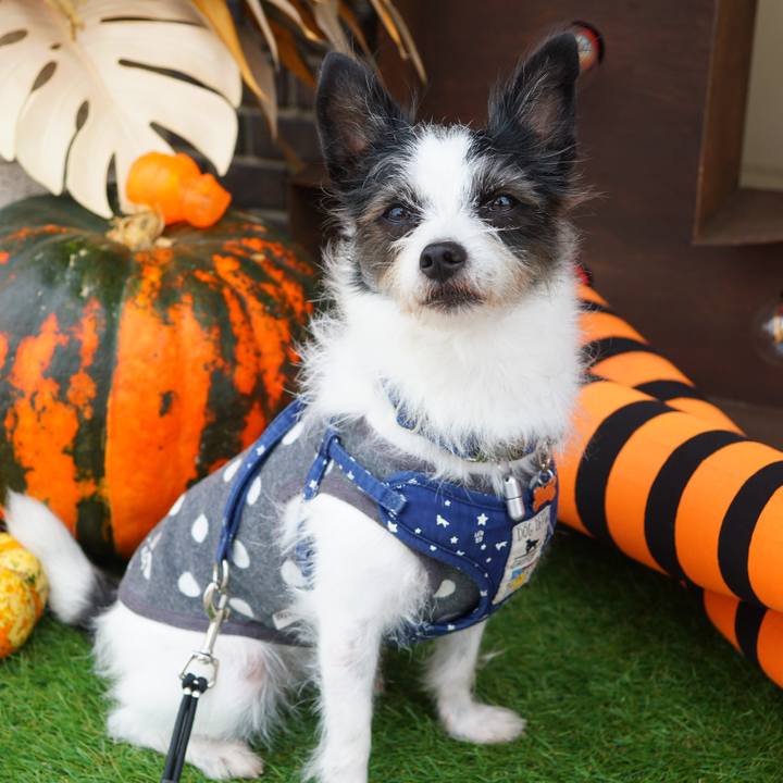 Caea1ebe 7ee9 4a7f 8c95 a662ae9bae0e 1601889765571