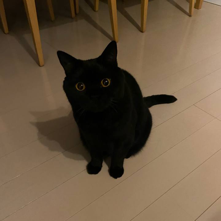 Caea2efd f6e4 4c54 9e84 2463e5df606f 1603283963343