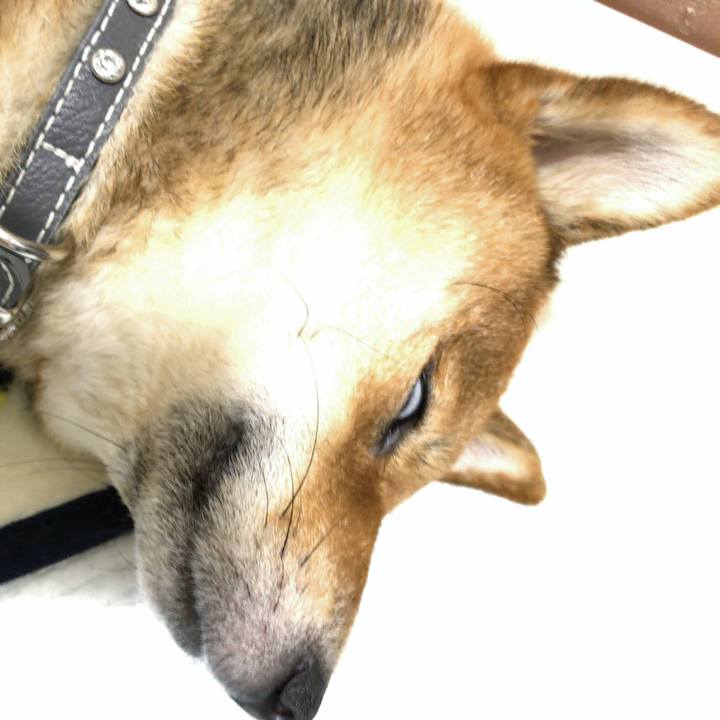 Caea4c59 3bf1 4875 af53 b93f6a516037 1522939064357