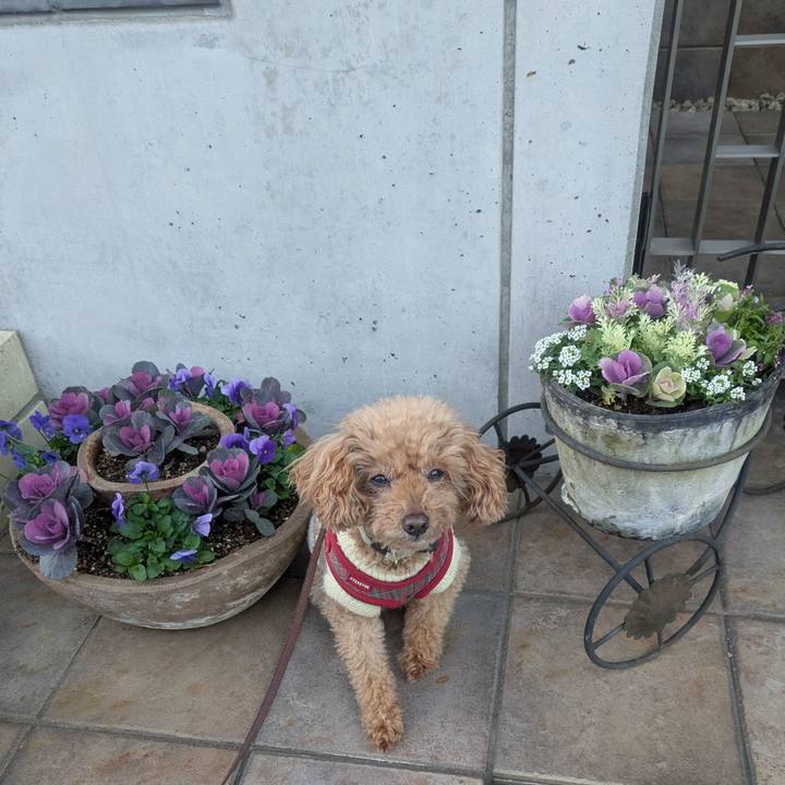 Caea6e46 f907 489c 8255 da0398274fec 1764802395027