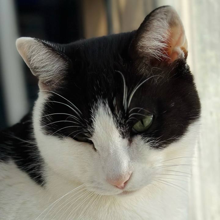 Caeab81c dffd 4c4e b0cd b101acdc5858 1676079448831