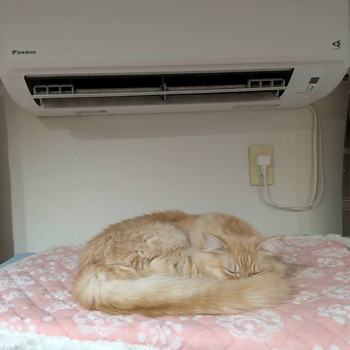 Caead04e dc04 47bf 89aa 8cf9c6ea73f4 1734777194367