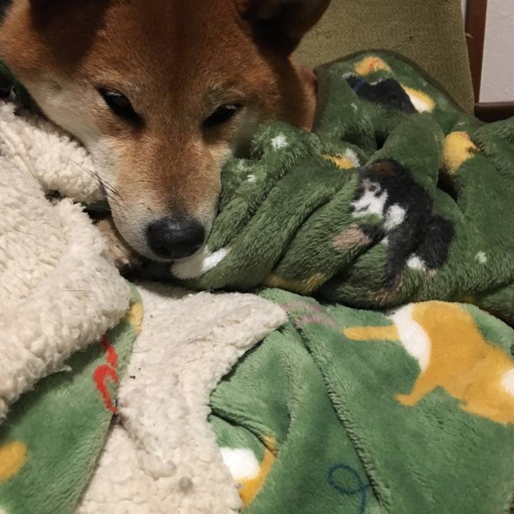 Caeb009b 3f6e 4f67 88e3 e51e5e68f1b5 1551963855469