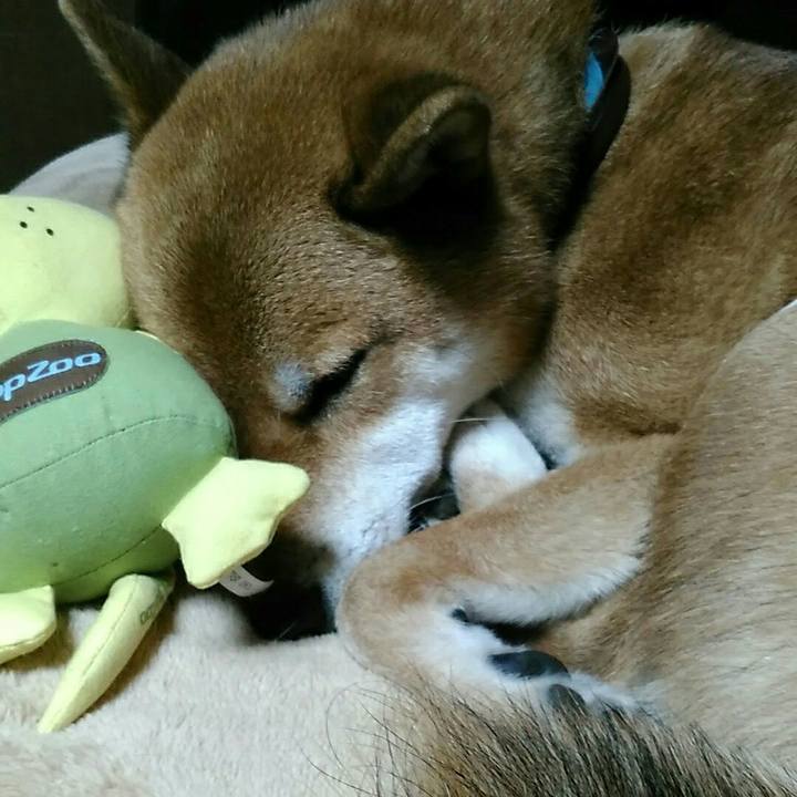 Caeb0bb5 8db2 41fa 84a8 fcefbec80060 1540819134874