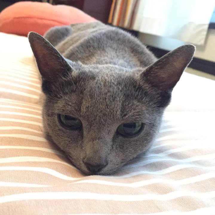 Caeb2206 2115 4a3b ab97 49cf51af2478 1562281257917