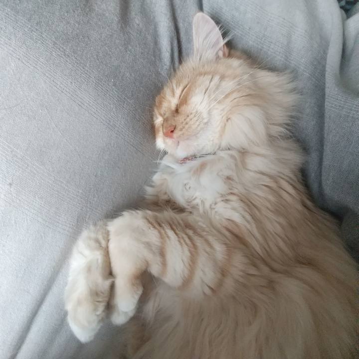 Caeb4e3d de42 41e6 854c 2e34e833b93e 1648255649167