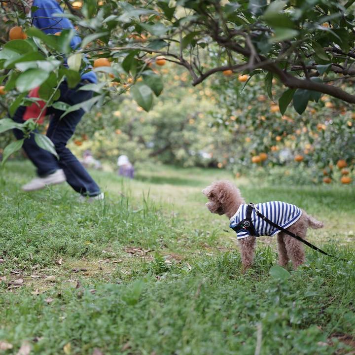 Caeb5658 27af 44cd 8fd8 e645e48e9758 1697253232524