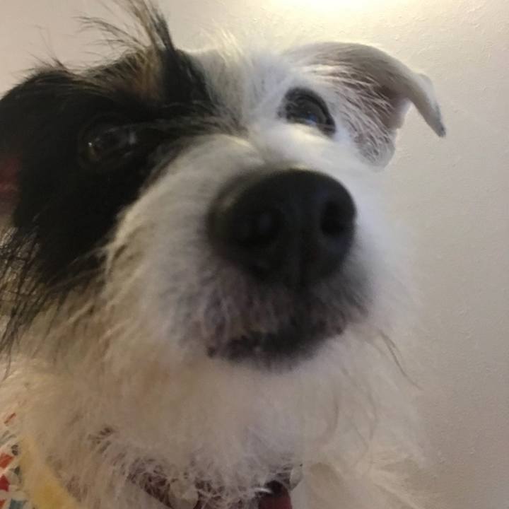 Caebce22 bfc2 4b93 8778 5eab40e557f6 1509794469803